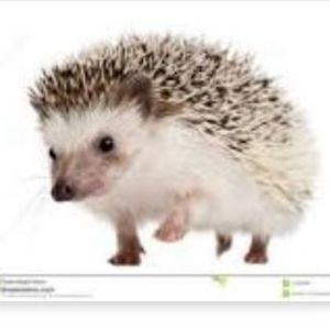 Meet your Posher, Kelsey